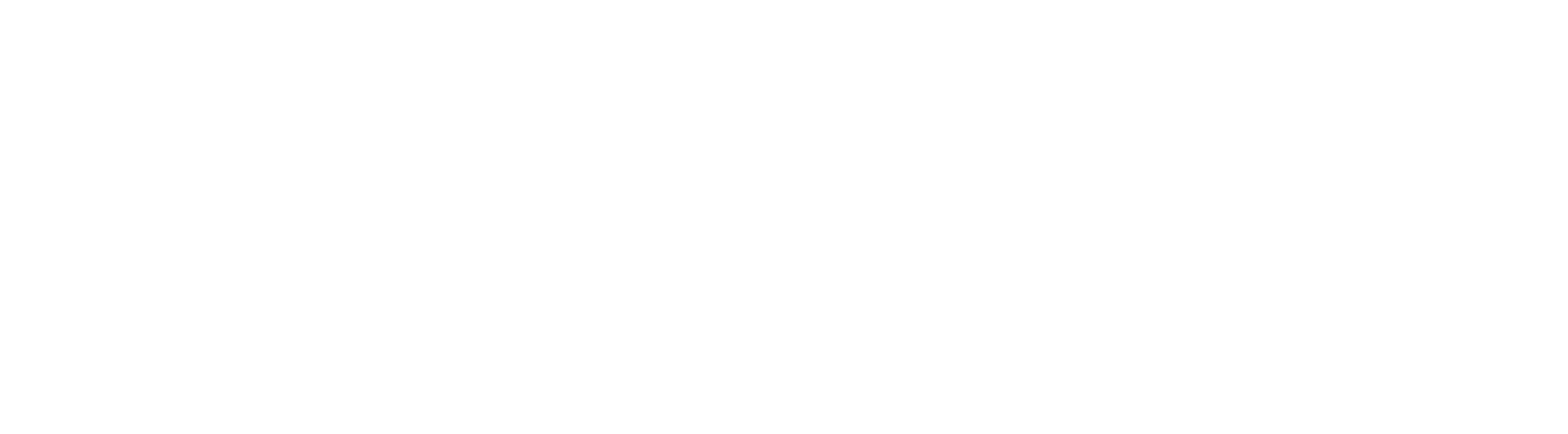 Logo marketingbureau Sageon Wit