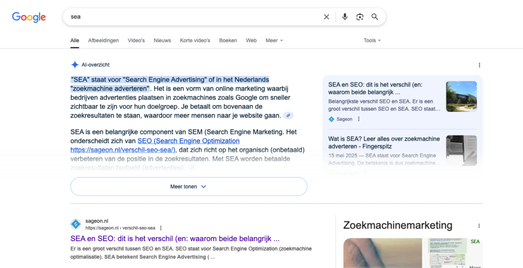 verschil SEO SEA AI Overview