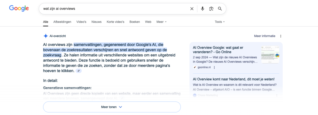 screenshot van uitleg van ai functie in google