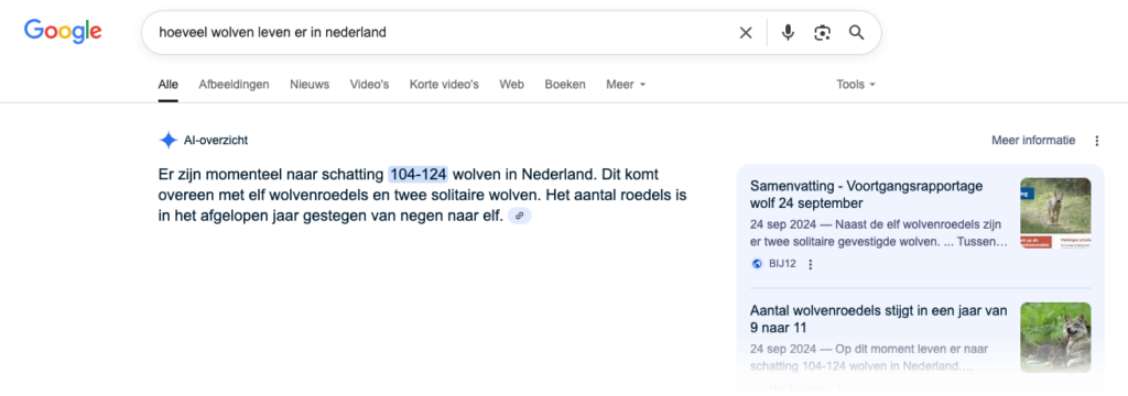 voorbeeld van ai overview als je een vraag stelt